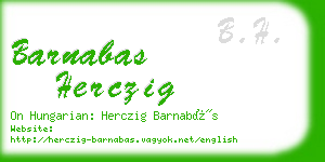 barnabas herczig business card